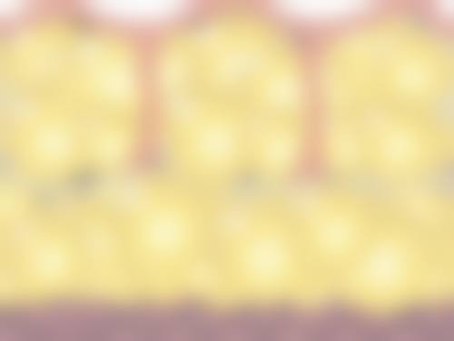 王璐阳医生擅长项目