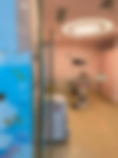 【邓艳南医生技术特点】