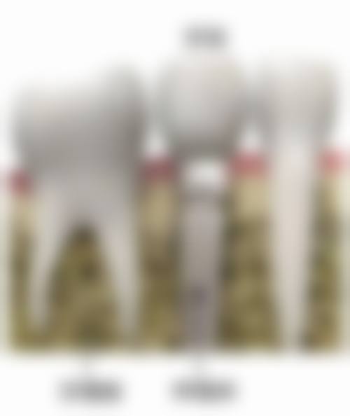 【苏世平医生技术特点】