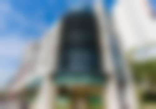 【潘素斐医生技术特点：】