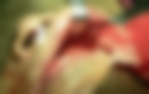 【曹尚军 医生执业信息】