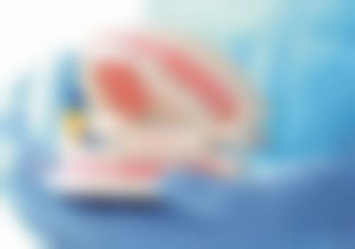 人类一般在6 - 7岁长出第一颗恒牙