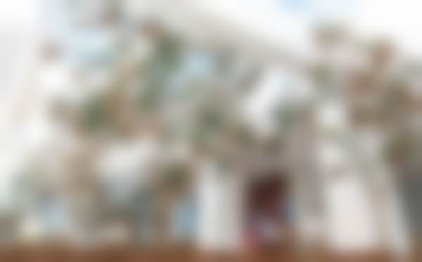 【张巍医生技术特点】