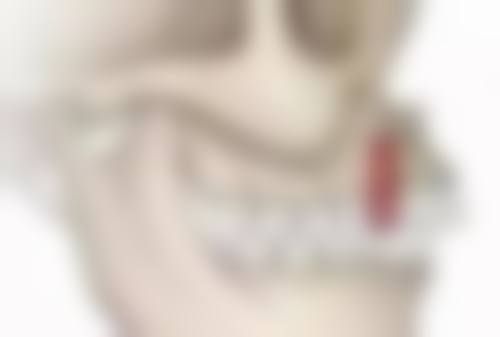 牙齿矫正加力过几天才会移动？