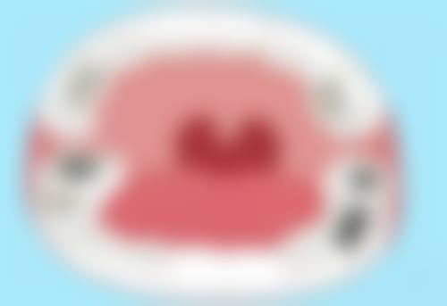 【赵洪岩医生荣誉资质】