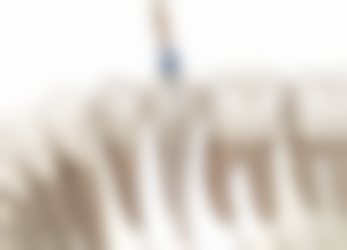 【洪丽华医生荣誉资质】