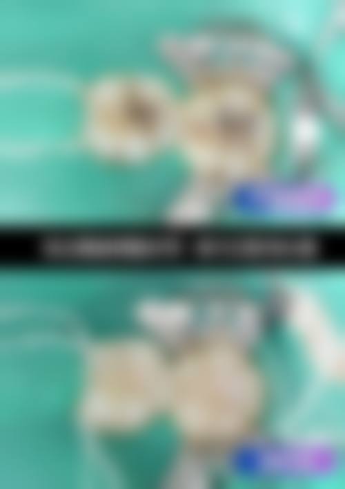 【林闽医生荣誉资质:】