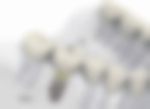 【张草医生荣誉资质】