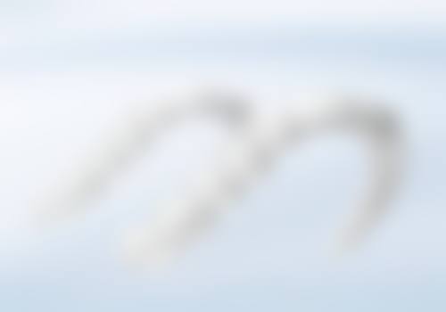 【罗金燕医生技术特点】