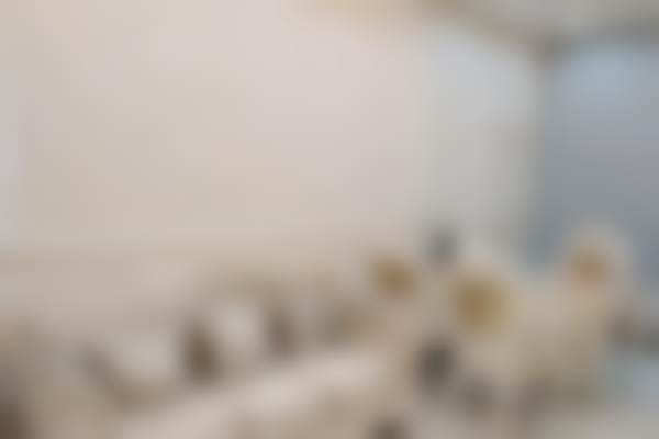 【东莞泰康拜博口腔门诊部（长安店）参考价格表：】