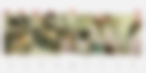 【林刚医生荣誉资质】