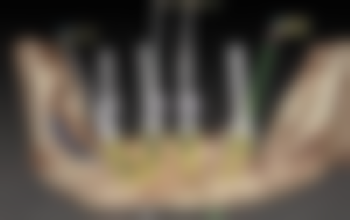 【葛艳医生荣誉资质】