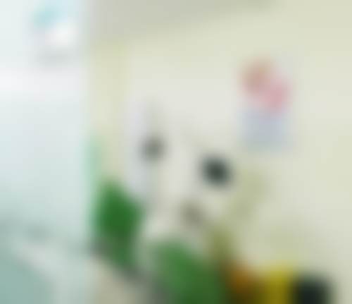 天津河北康美佳口腔门诊部