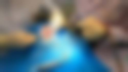 【张帆医生怎么预约挂号？】