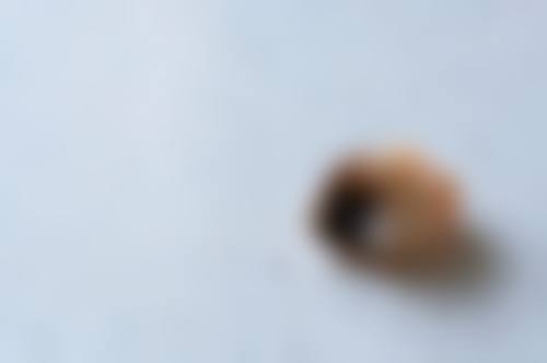 【李海鹰医生执业信息：】