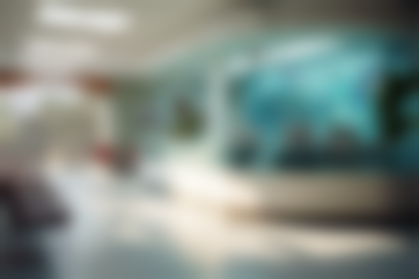 【个旧佳美口腔门诊部来院路线：】