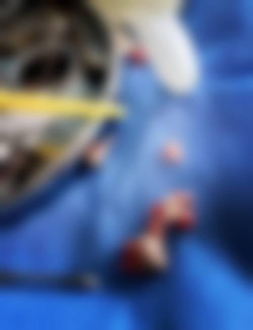 【周仲豪医生执业信息】