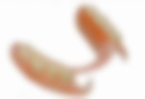 种植牙牙冠烤瓷牙，全瓷牙哪个用的久