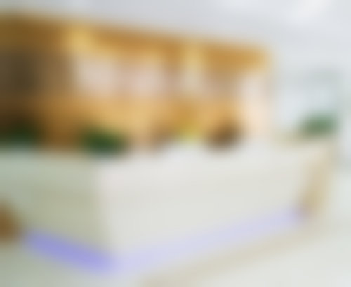 【戎志诚医生荣誉资质：】