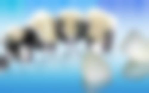 【西 京医院姚青医生怎么预约挂号?】