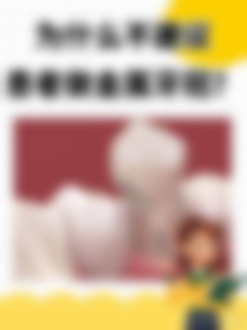 收费与价格原则说明