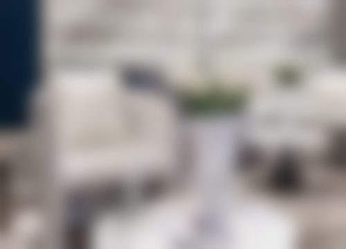 收费与价格原则说明
