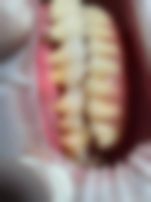 医疗团队情况
