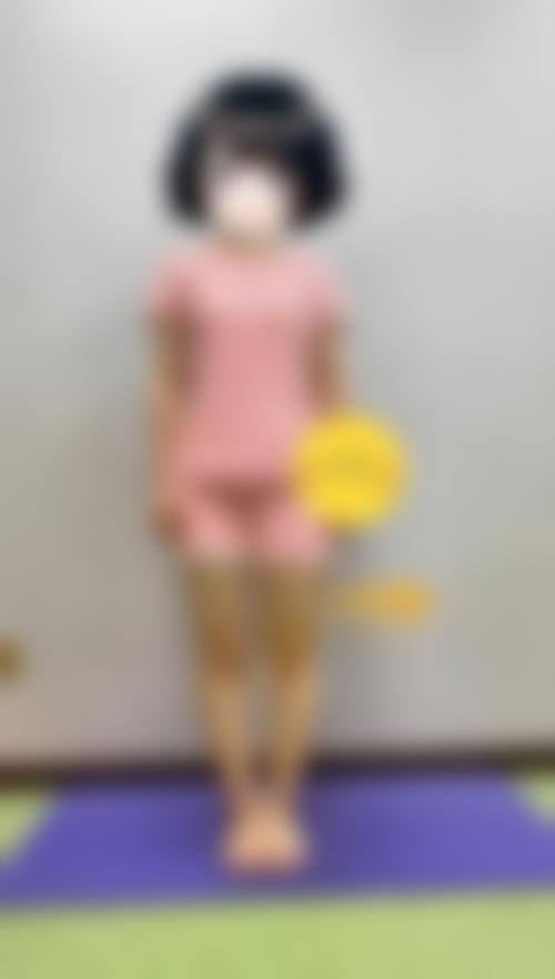 收费与价格原则说明