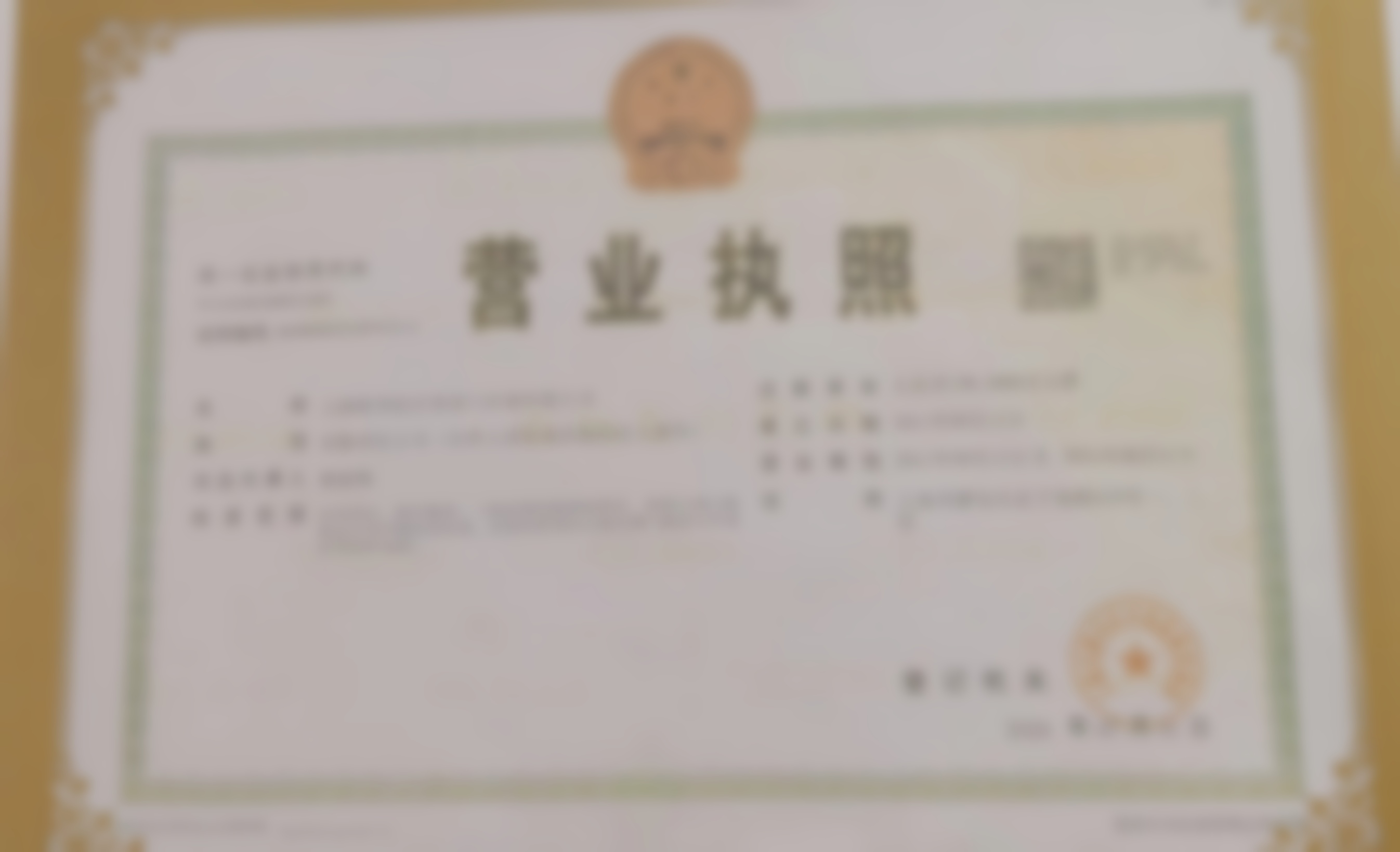 医疗团队情况