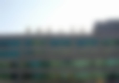 【程鹏医生擅长项目:】