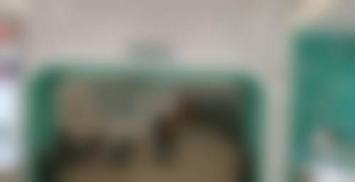收费与价格原则说明