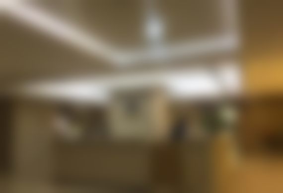 德国 VITA 全瓷牙冠项目的技术优势
