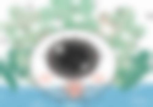 收费与价格原则说明