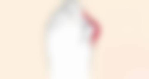 收费与价格原则说明
