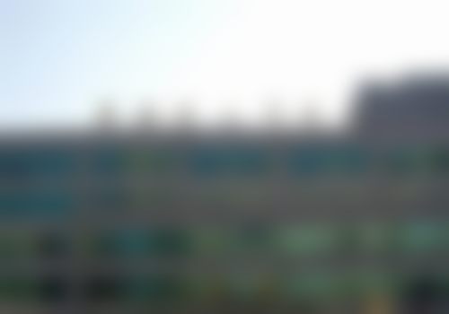 【付春茂医生技术特点：】