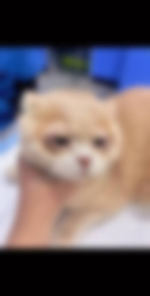 收费与价格原则说明