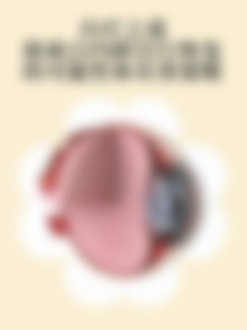 收费与价格原则说明