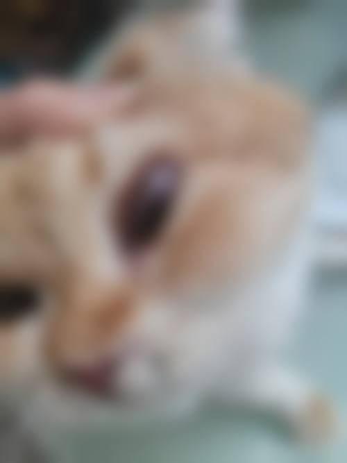 医疗团队情况