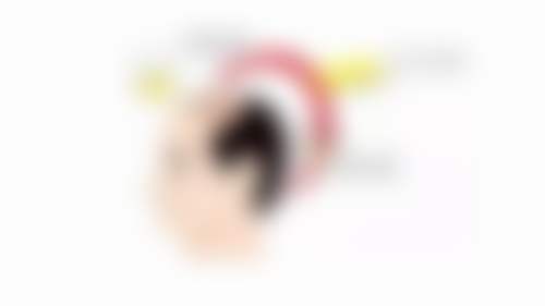 收费与价格原则说明
