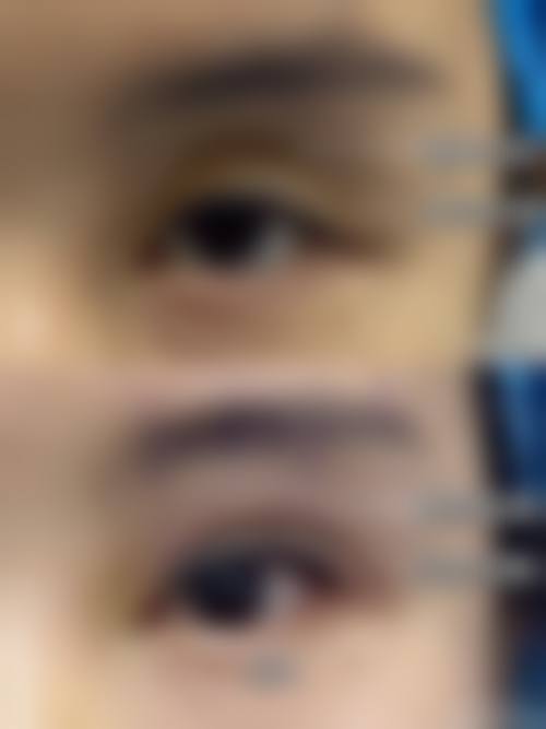 收费与价格原则说明