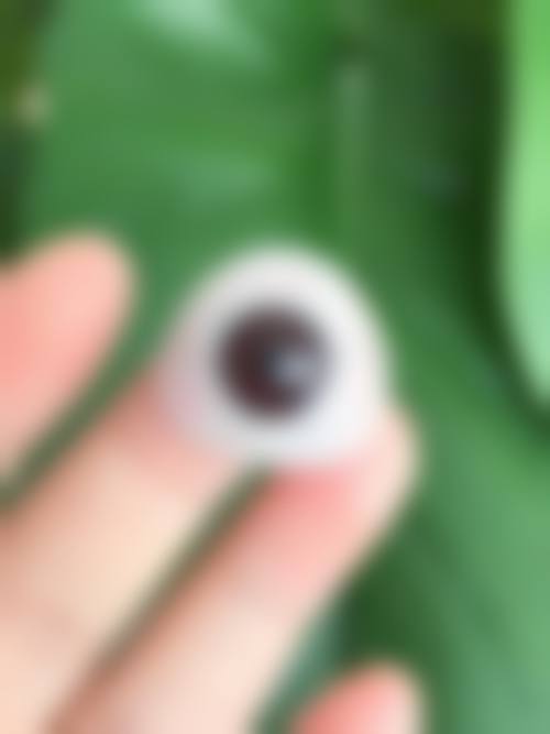 医疗团队情况