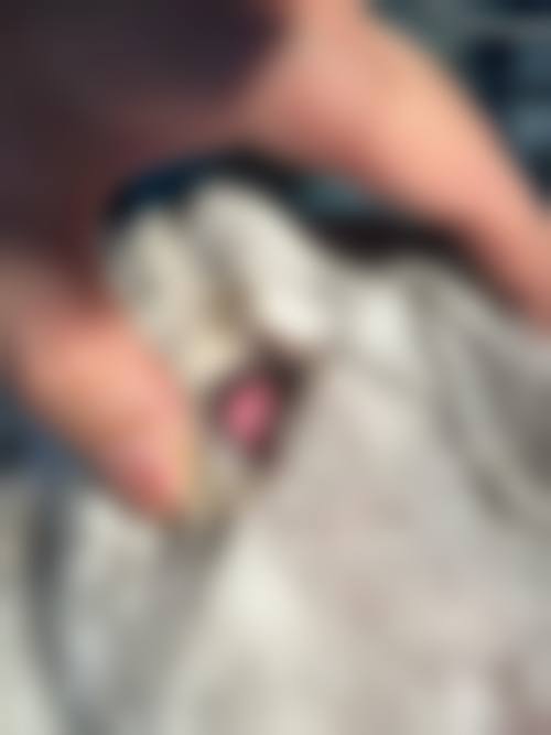 诊疗项目介绍