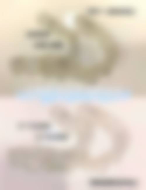 医疗团队情况
