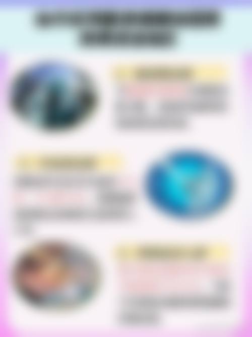 特色项目与价格参考