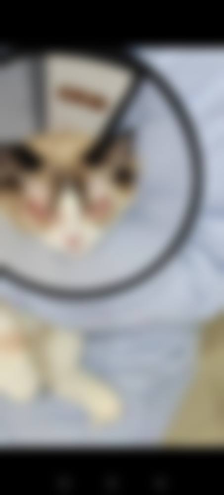 诊疗特色总结:设备与经验的双重加持