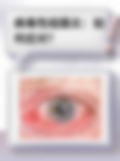 全程无忧服务与便捷预约指南