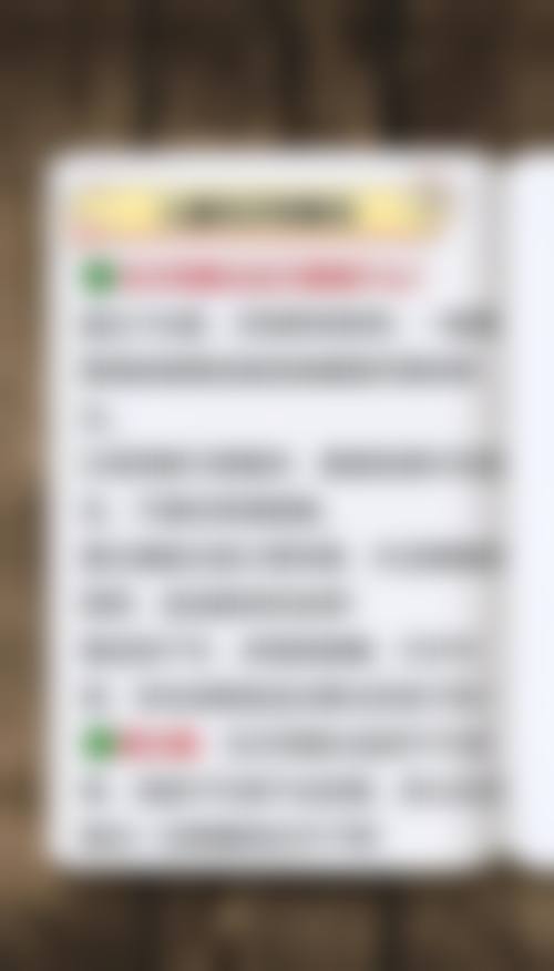擅长项目详解