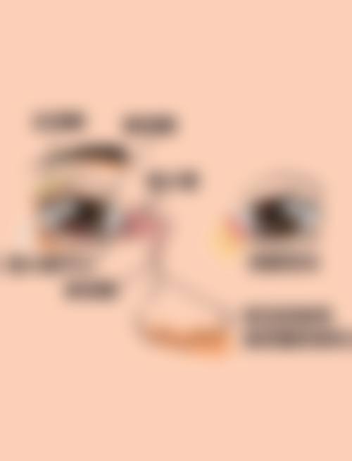 透明价格体系与服务流程详解