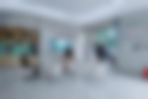 擅长项目详解