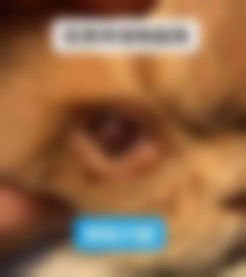 擅长项目详解